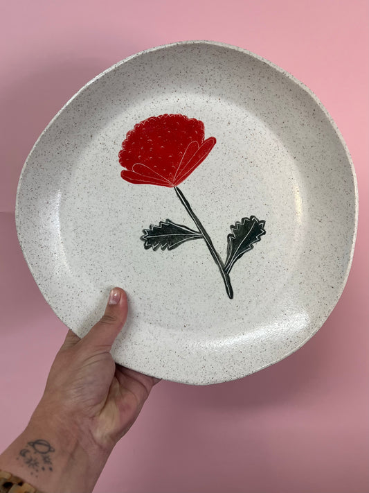 Waratah plate